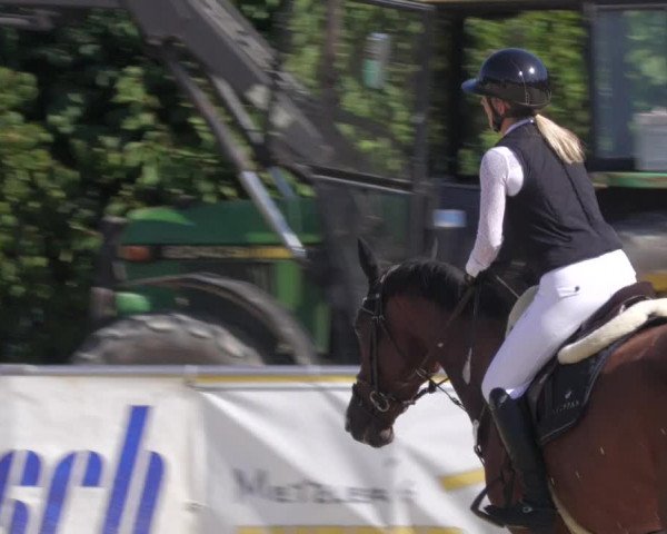 Reitturnier Oberderdingen 2022