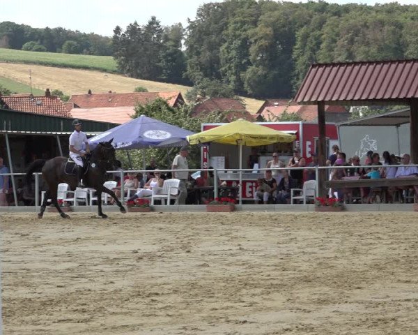 Reitturnier Kreiensen- Rittierode 2022