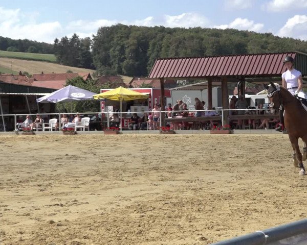 Reitturnier Kreiensen- Rittierode 2022