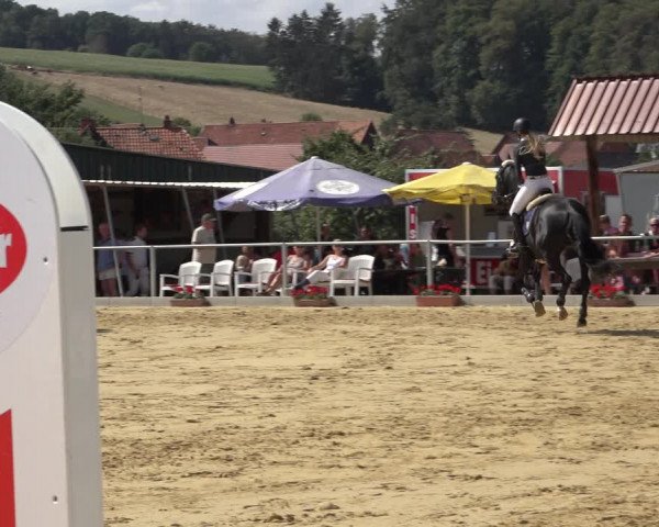 Reitturnier Kreiensen- Rittierode 2022