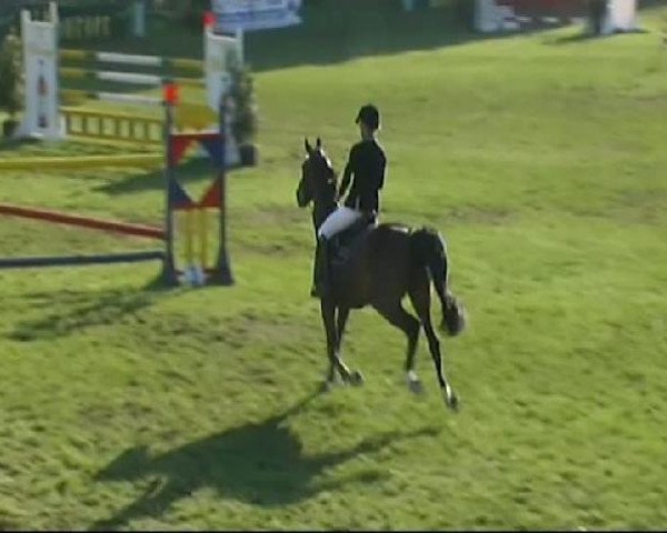 Springpferd For You 30 (Bayer, 2001, von Forrester)