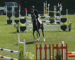 jumper Serious 2 (Württemberger, 2003, from Sir Oldenburg)