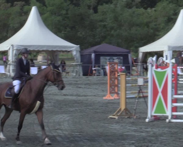 Reitturnier Horitschon 2022