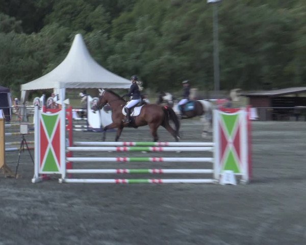 Reitturnier Horitschon 2022