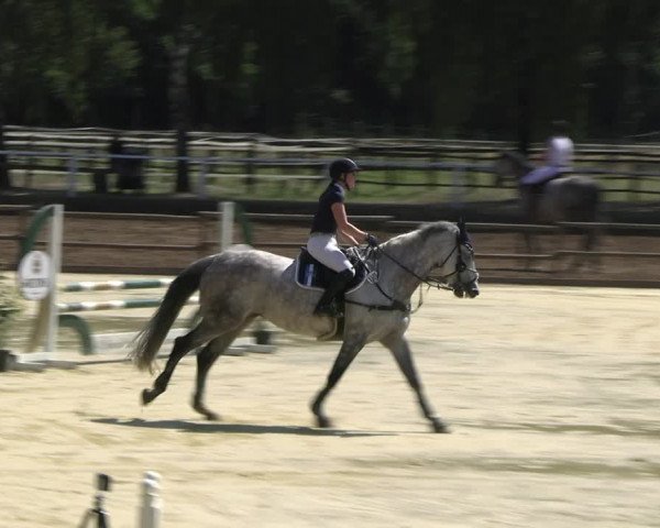 Reitturnier Vellinghausen 2022
