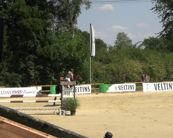 Reitturnier Vellinghausen 2022