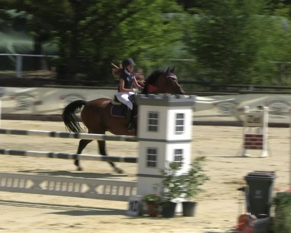 Reitturnier Vellinghausen 2022