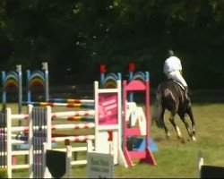 jumper Alpha Rose (Bavarian, 2002, from Alvarez)