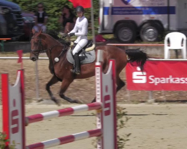 Reitturnier Oberderdingen 2022