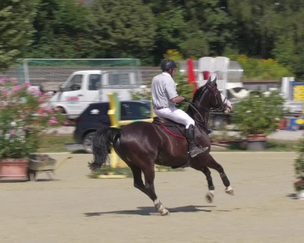 Reitturnier Oberderdingen 2022