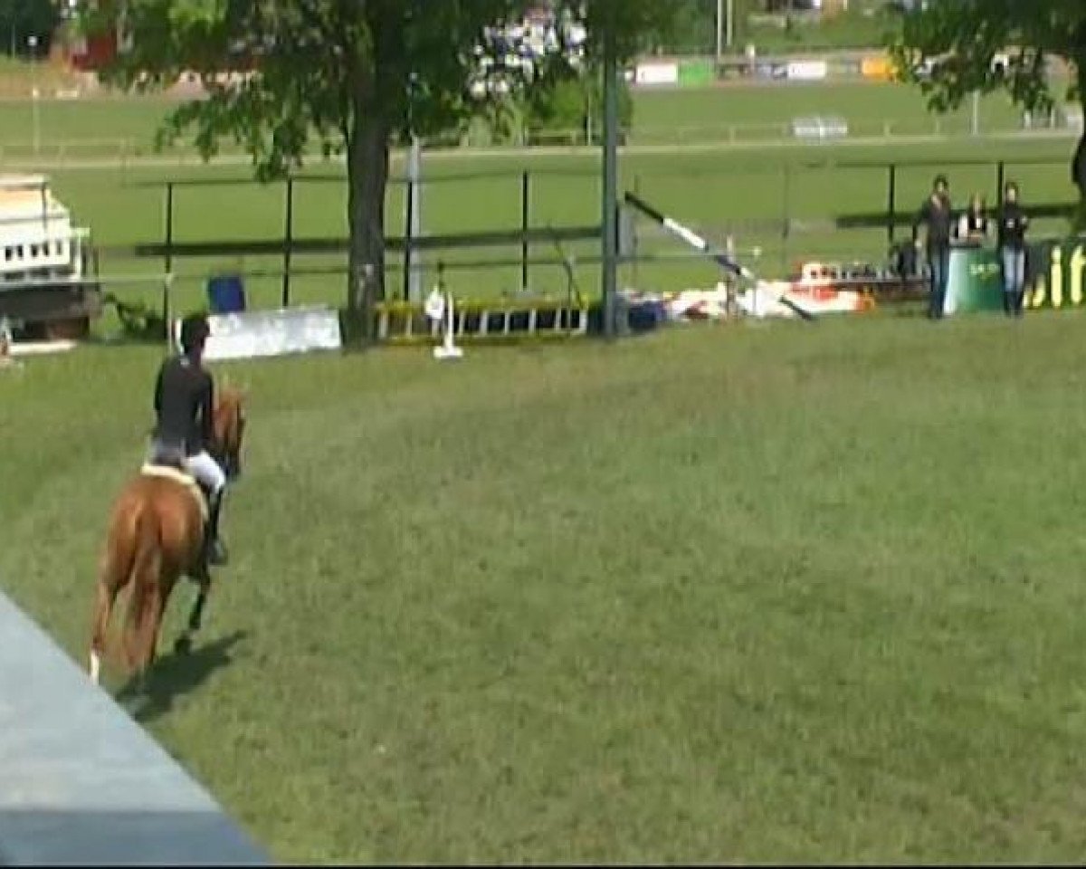 Cavallo da salto Benedikt du Rouet (Württemberger, 2005, di Balou du Rouet)