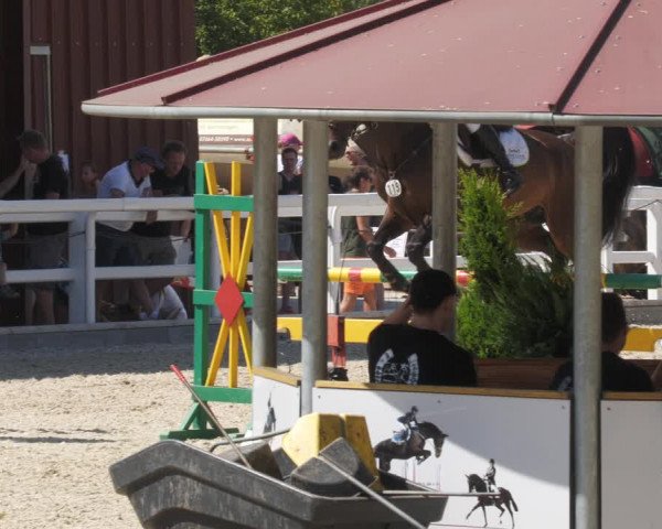 Reitturnier Gundelfingen 2022