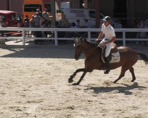 Reitturnier Gundelfingen 2022