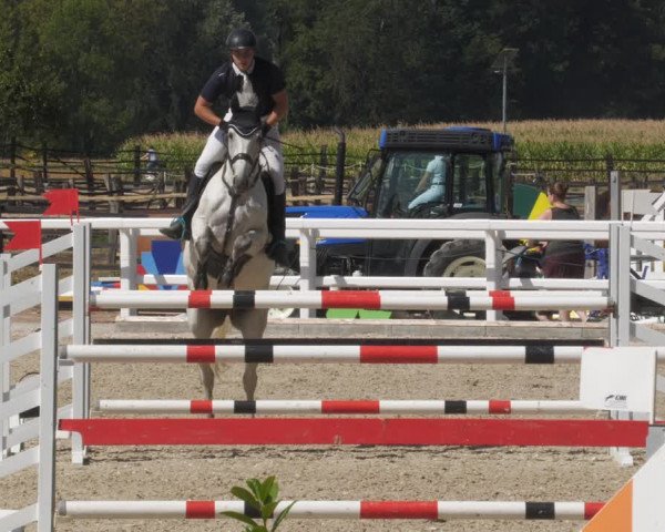 Reitturnier Gundelfingen 2022