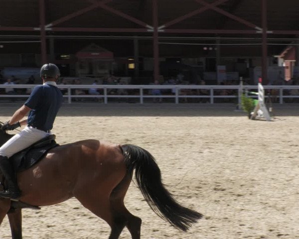 Reitturnier Gundelfingen 2022