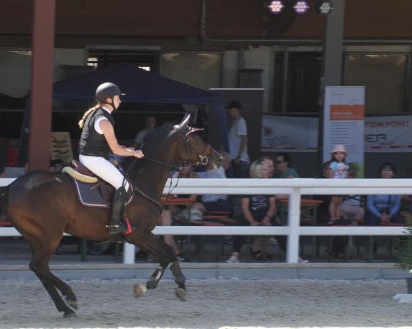 Reitturnier Gundelfingen 2022