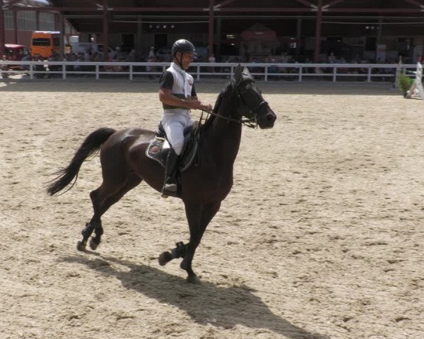 Reitturnier Gundelfingen 2022