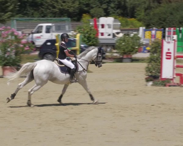 Reitturnier Oberderdingen 2022