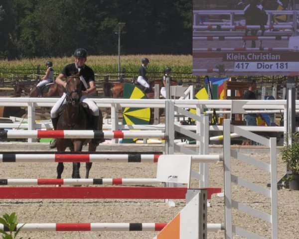 Reitturnier Gundelfingen 2022