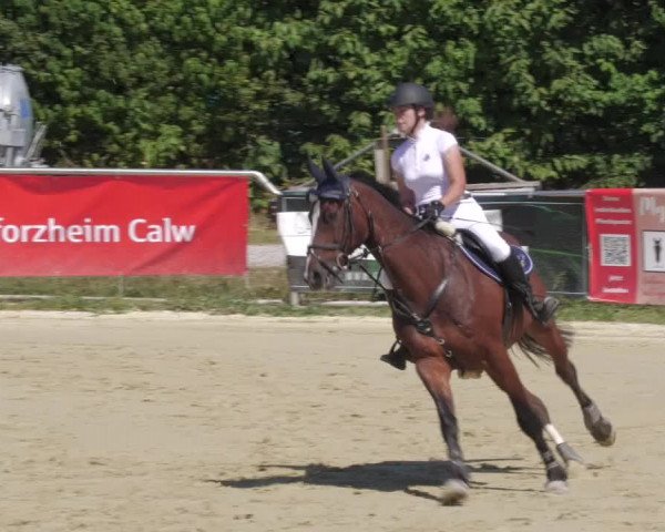 Reitturnier Oberderdingen 2022