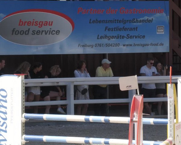 Reitturnier Gundelfingen 2022