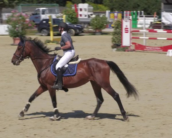 Reitturnier Oberderdingen 2022