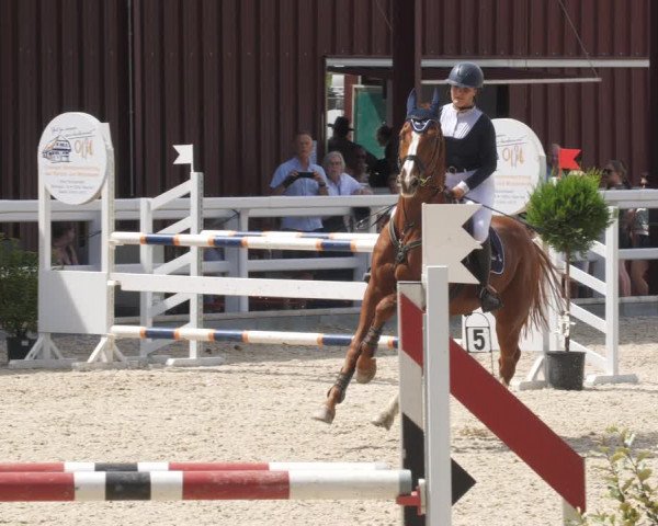 Reitturnier Gundelfingen 2022