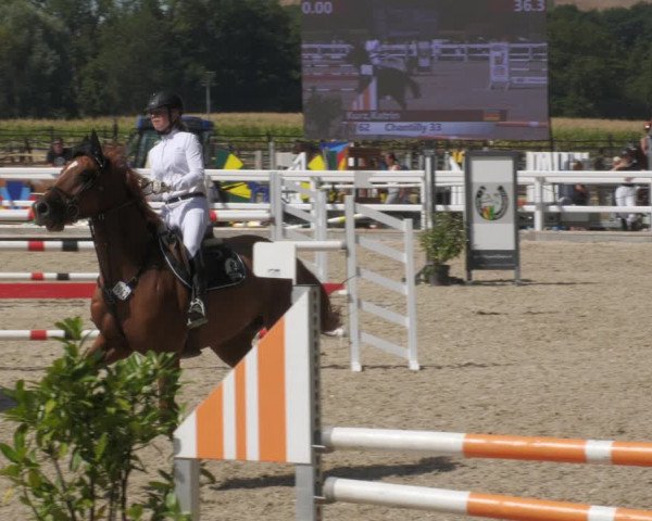 Reitturnier Gundelfingen 2022