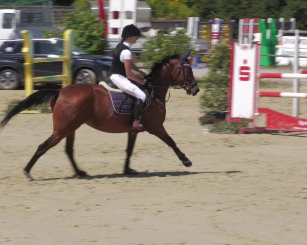 Reitturnier Oberderdingen 2022