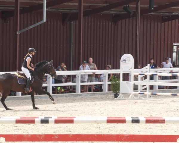 Reitturnier Gundelfingen 2022