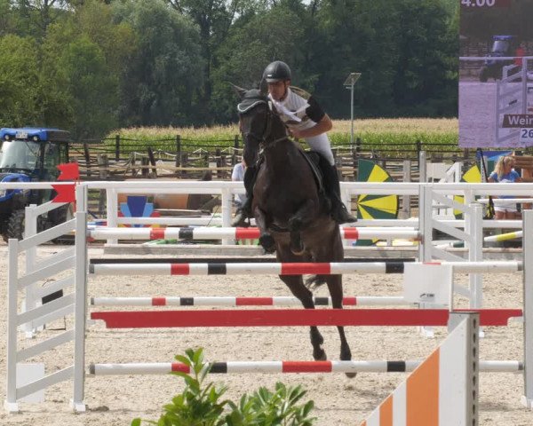Reitturnier Gundelfingen 2022