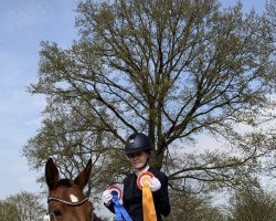 Springpferd Gracelyn (Holsteiner, 2014, von Quiwi Dream)