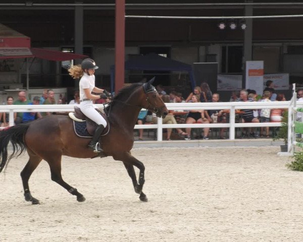 Reitturnier Gundelfingen 2022