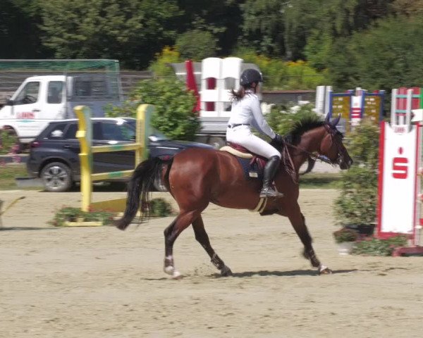 Reitturnier Oberderdingen 2022