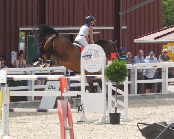 Reitturnier Gundelfingen 2022