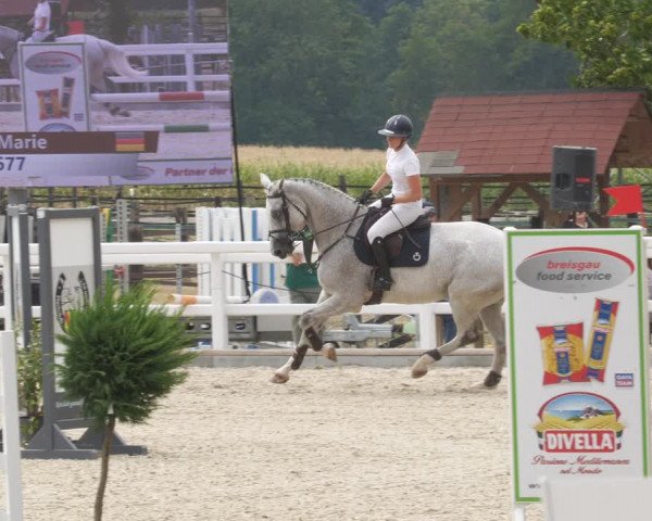 Reitturnier Gundelfingen 2022