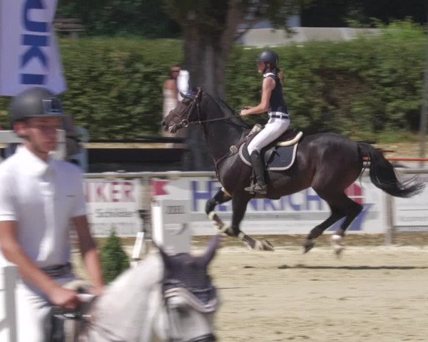Reitturnier Oberderdingen 2022