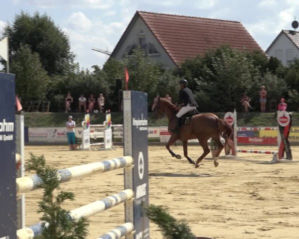 Reitturnier Kreiensen- Rittierode 2022