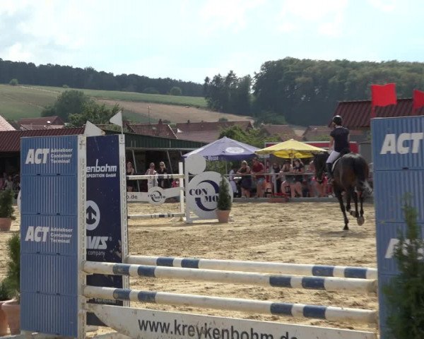 Reitturnier Kreiensen- Rittierode 2022