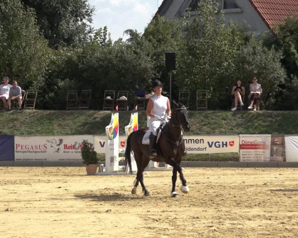 Reitturnier Kreiensen- Rittierode 2022