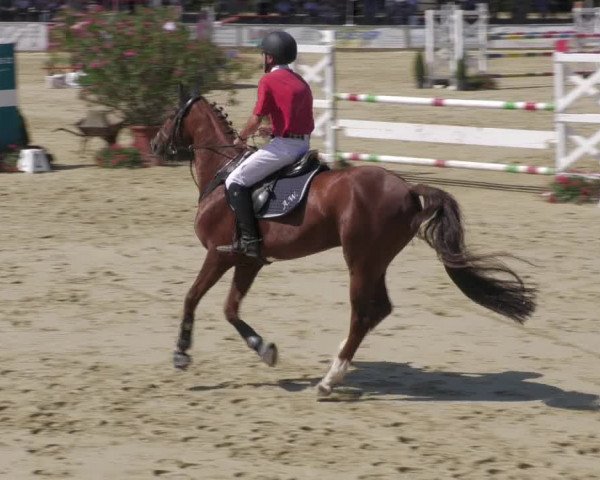 Reitturnier Oberderdingen 2022