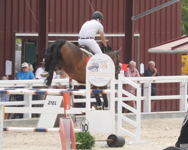 Reitturnier Gundelfingen 2022