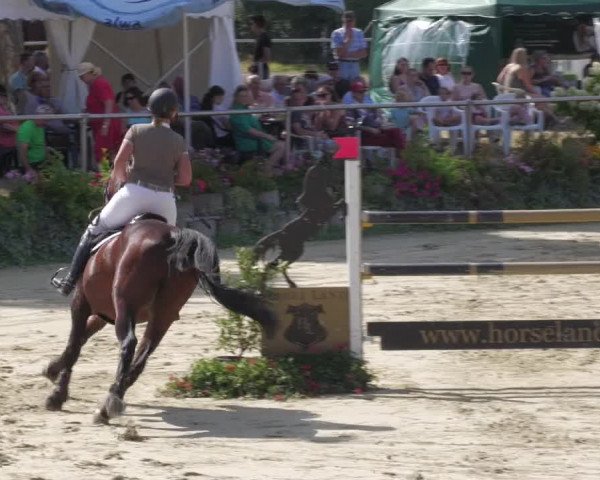 Reitturnier Oberderdingen 2022