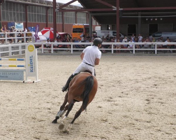 Reitturnier Gundelfingen 2022