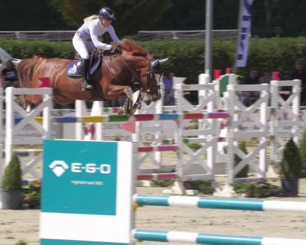 Reitturnier Oberderdingen 2022