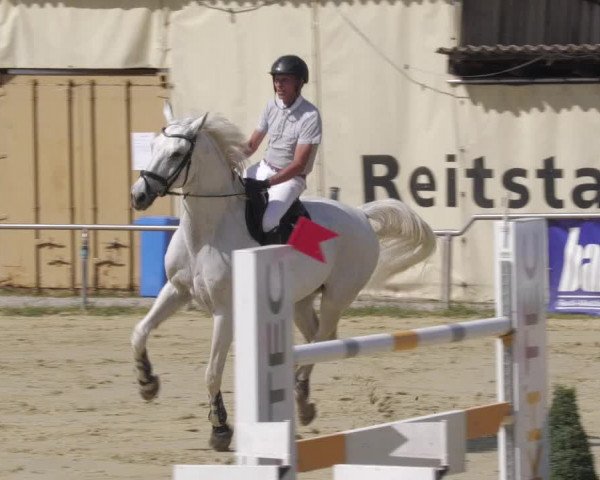 Reitturnier Oberderdingen 2022