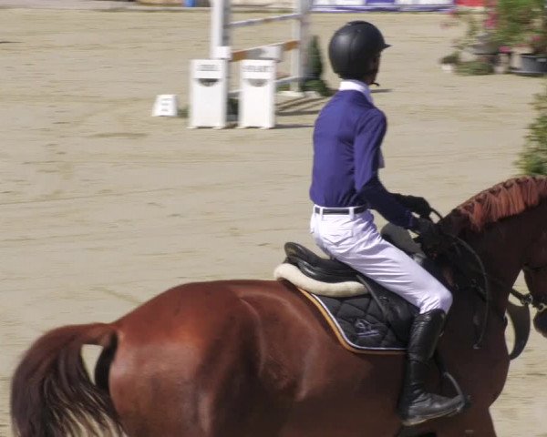 Reitturnier Oberderdingen 2022