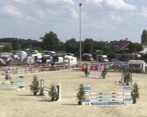 Reitturnier Münster-Amelsbüren 2022