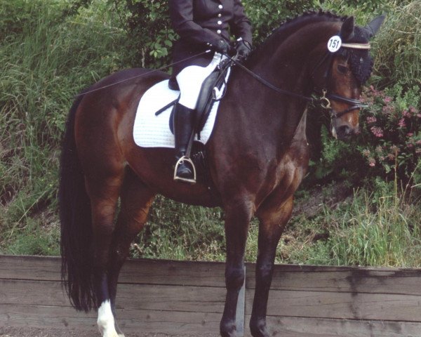 horse Firlefanz 58 (Bavarian, 1995, from Fair Play 97 FIN)