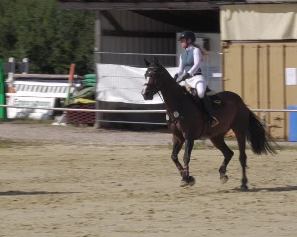 Reitturnier Oberderdingen 2022